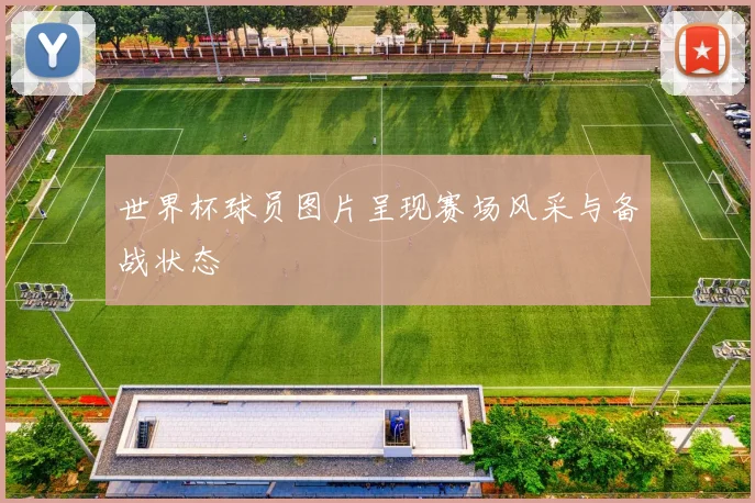世界杯球员图片呈现赛场风采与备战状态