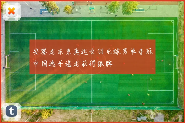 安赛龙东京奥运会羽毛球男单夺冠中国选手谌龙获得银牌