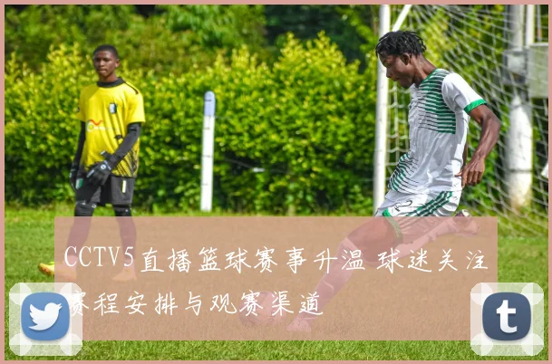 CCTV5直播篮球赛事升温 球迷关注赛程安排与观赛渠道