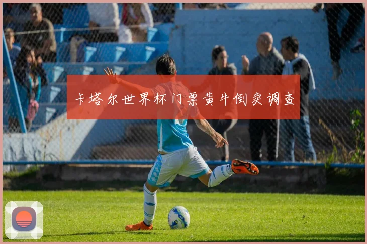 卡塔尔世界杯门票黄牛倒卖调查