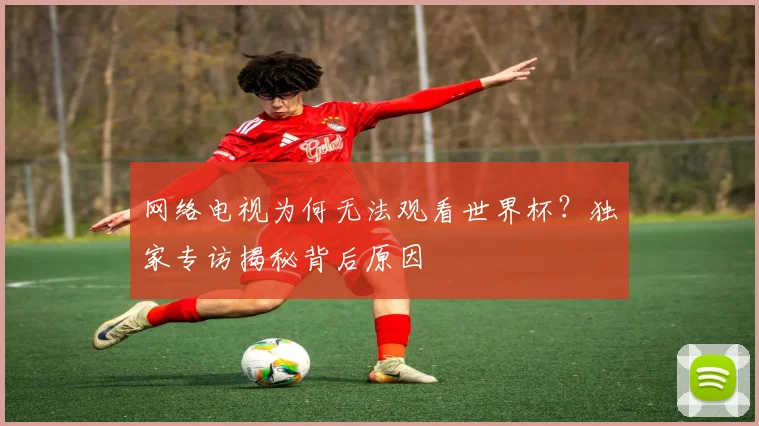 网络电视为何无法观看世界杯？独家专访揭秘背后原因