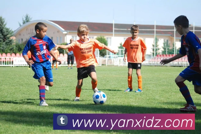 多媒体互动体验