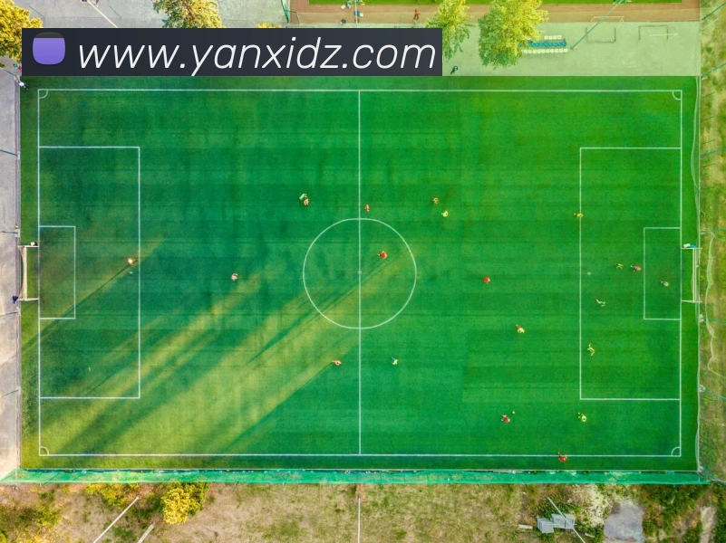 必一体育sport官网APP 高清赛事图